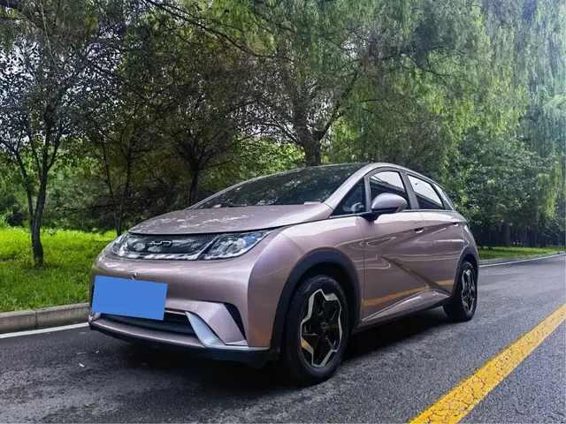 BYD Dolphin 2021 Model 405km Fashion Edition