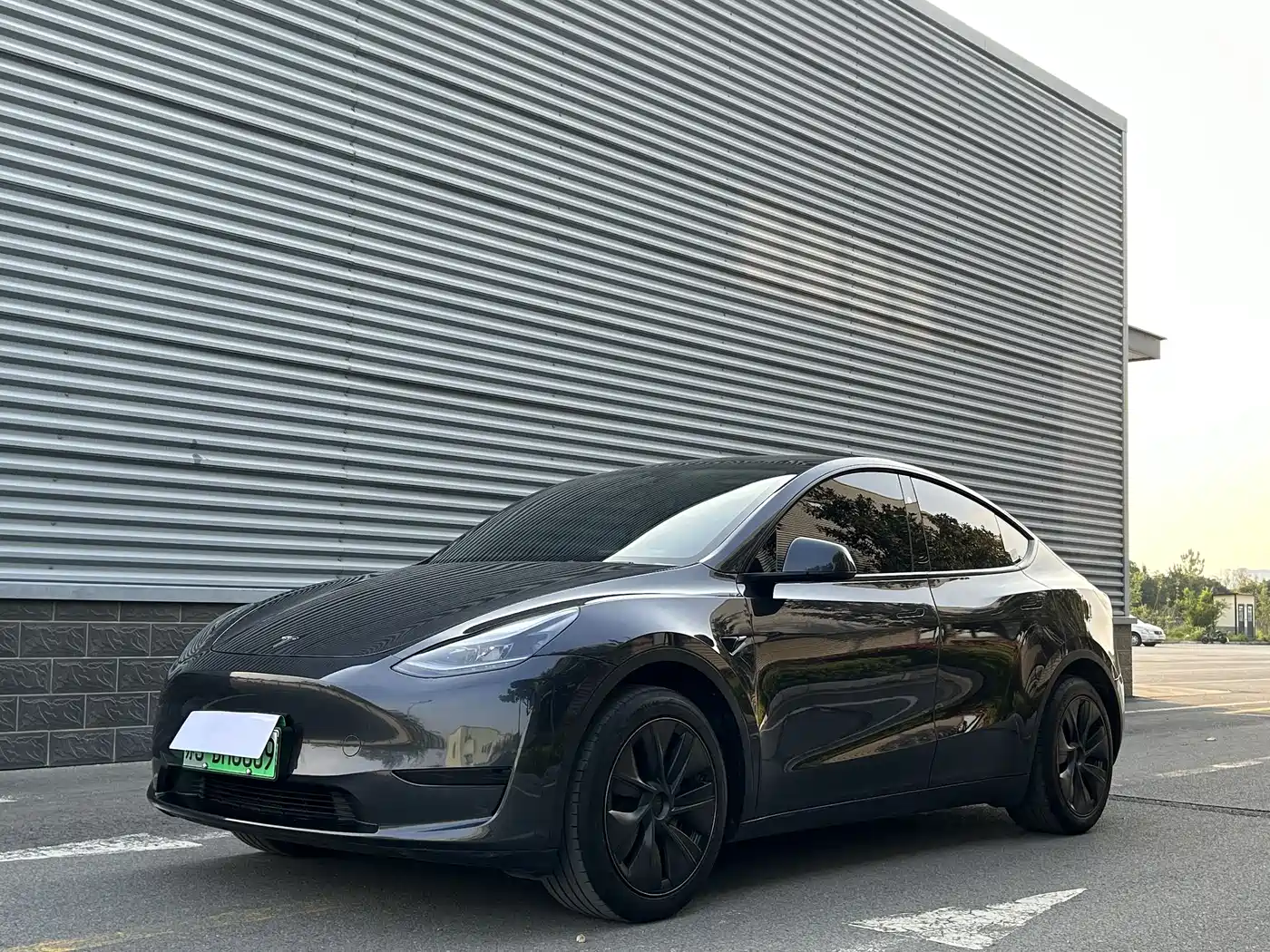 Tesla Model Y 2024 Rear-Wheel Drive Version