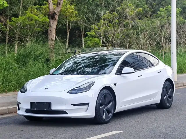 Tesla Model 3 2020 Facelift Long Range Rear-Wheel Drive