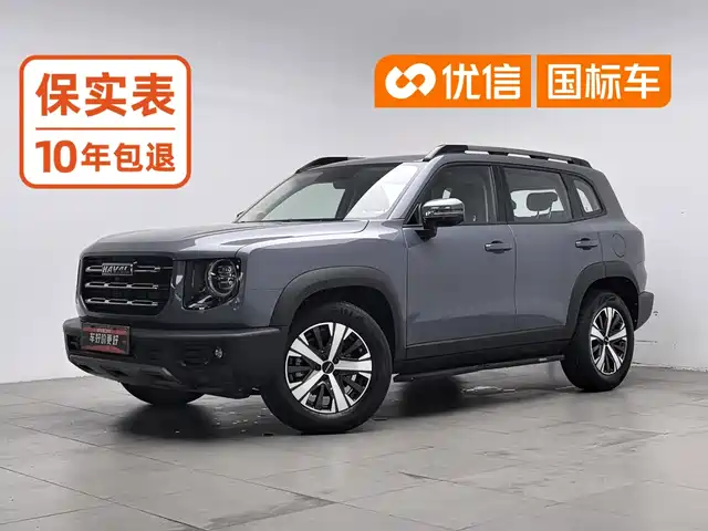 Haval Big Dog 2021 1.5T DCT 2WD Labrador Edition