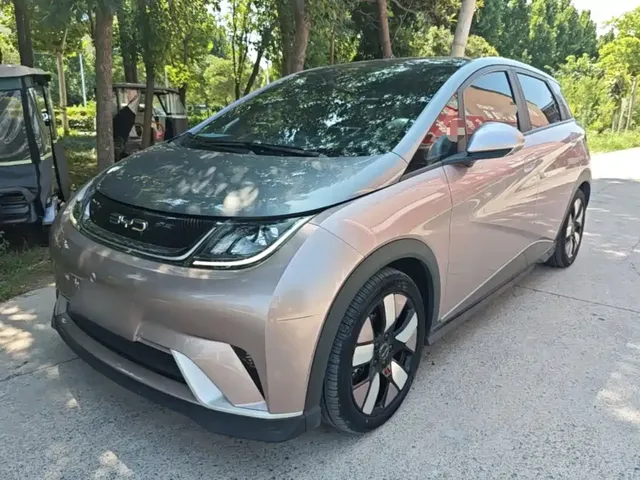 BYD Dolphin 2021 401km Knight Edition
