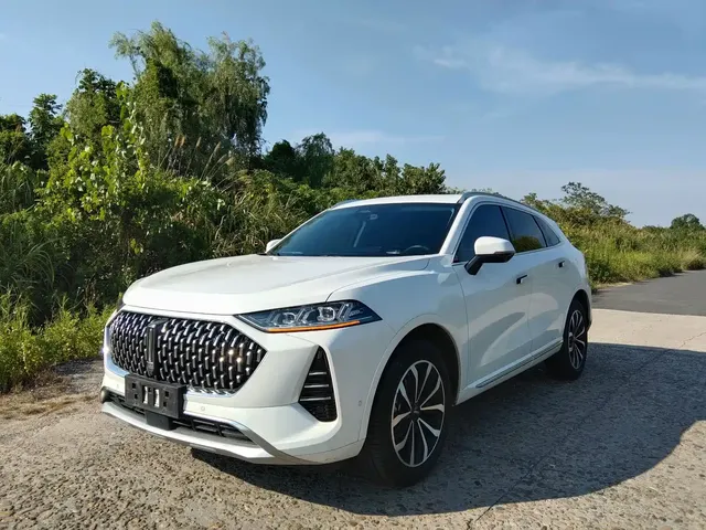 WEY Mocha 2021 2.0T 2WD Premium Edition
