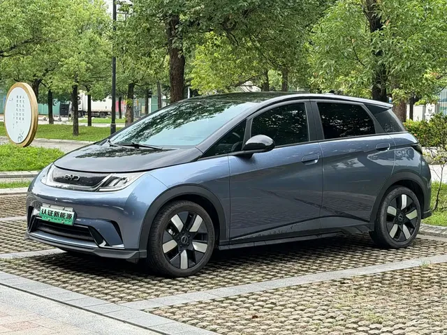 BYD Dolphin 2024 Glory Edition 401km Knight Edition