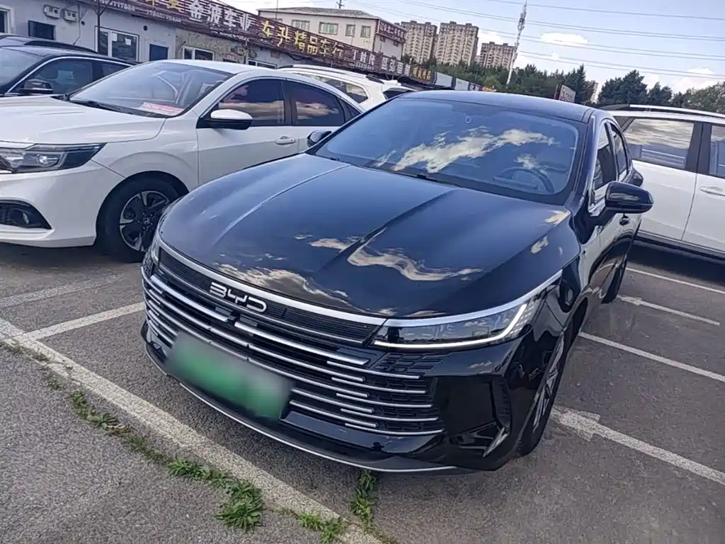 BYD Destroyer 05 2024 Glory Edition DM-i 55KM Luxury