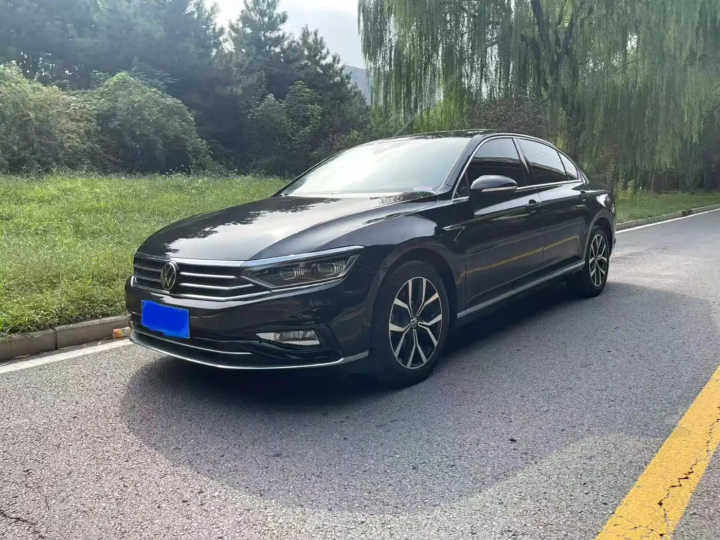 Volkswagen Magotan 2020 380TSI DSG Luxury