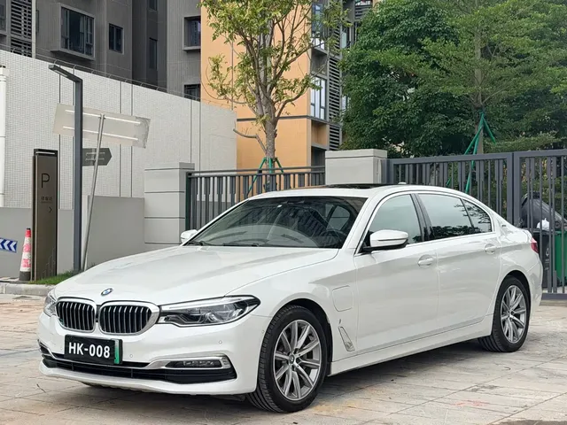 BMW 5 Series New Energy 2019 530Le Luxury Package