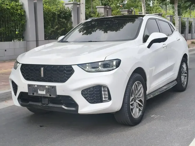 WEY VV5 2019 Upgrade 2.0T 2WD Ultra Luxury China V