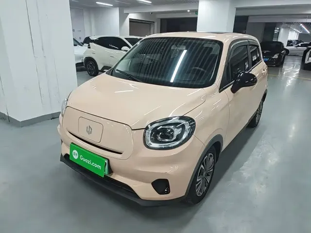 Leapmotor T03 2021 400 Micro Sugar Edition