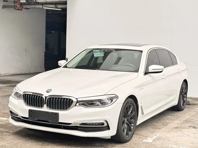 BMW 5 Series New Energy 2019 530Le Luxury Package