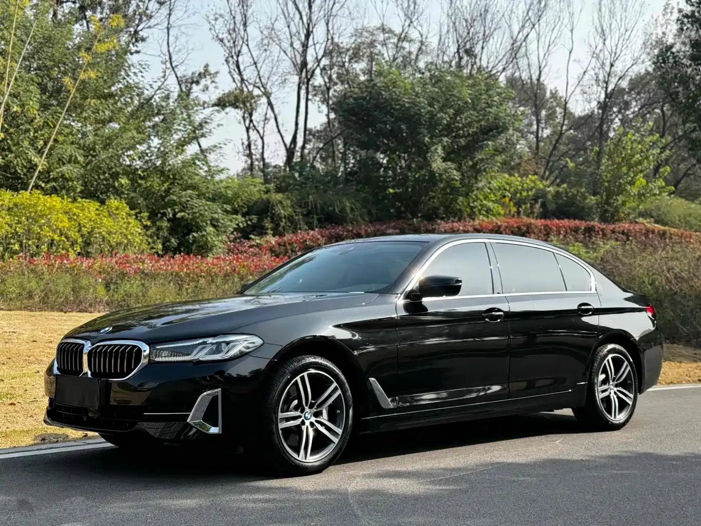 BMW 5 Series 2021 530Li Leading Luxury Package