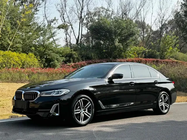 BMW 5 Series 2021 530Li Leading Luxury Package