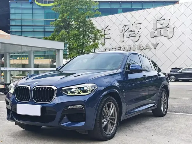 BMW X4 2019 xDrive25i M Sport Package