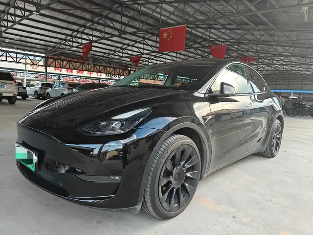 Tesla Model Y 2021 Standard Range Rear-Wheel Drive