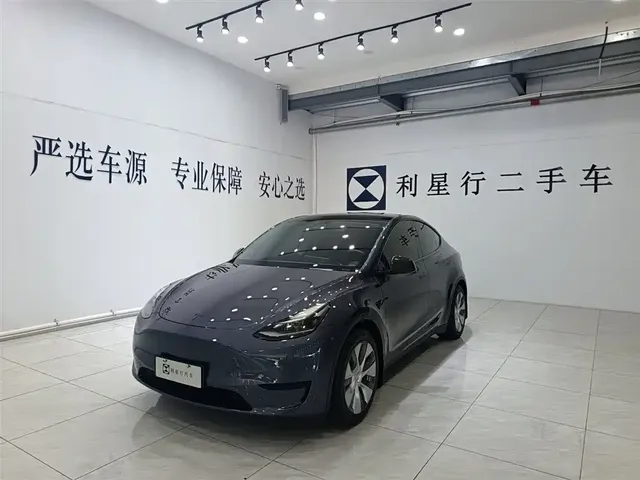 Tesla Model Y 2022 Rear-Wheel Drive Version