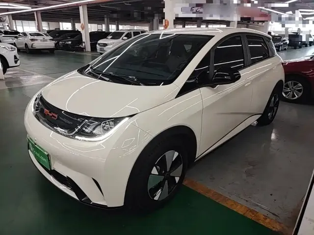 BYD Dolphin 2023 420km Freedom Edition