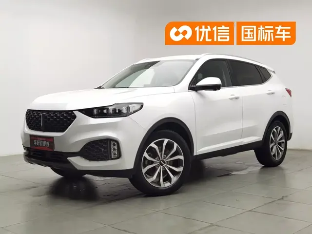 WEY VV6 2020 2.0T 2WD Smart Protection+