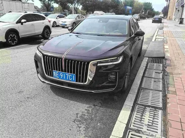 Hongqi H9 2020 2.0T Smart Connection Qi Chang Edition