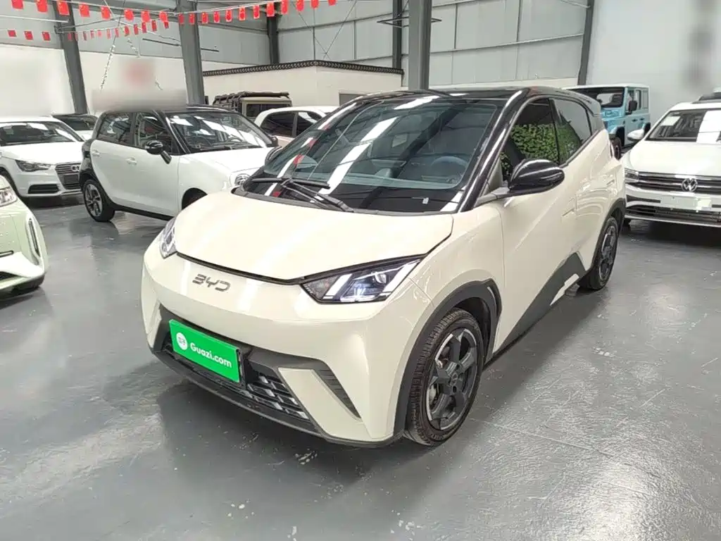 BYD Seagull 2024 Glory Edition 405km Soaring Edition
