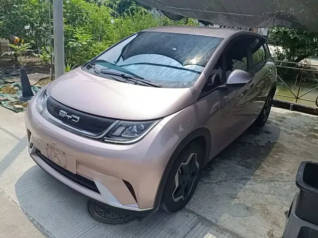 BYD Dolphin 2021 405km Freedom Edition
