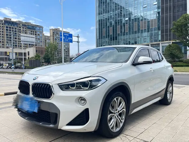 BMW X2 (Import) 2019 sDrive25i Leading M Off-Road Package China VI