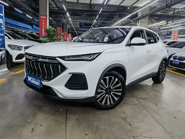 Changan Oshan Changan Oushang X5 2021 1.6L CVT Premium