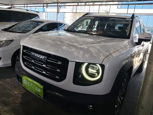 Haval Big Dog 2021 1.5T DCT 2WD Border Collie Edition