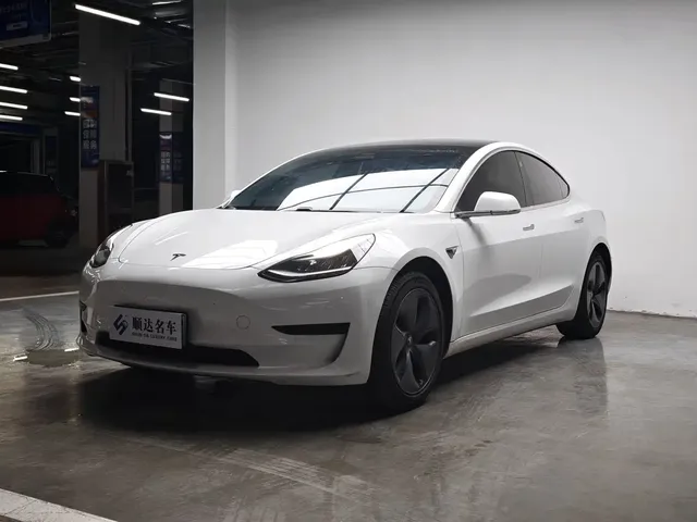 Tesla Model 3 2020 Standard Range Rear-Wheel Drive Upgrade