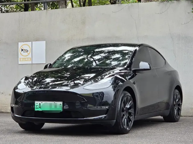 Tesla Model Y 2021 Standard Range Rear-Wheel Drive