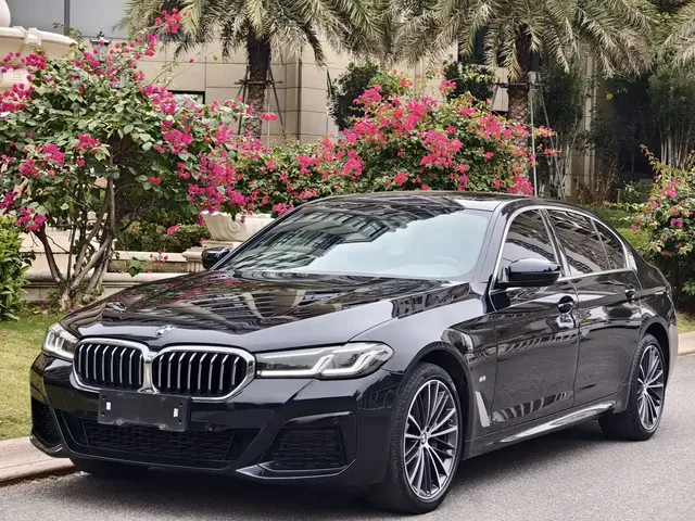 BMW 5 Series 2023 530Li Leading M Sport Package