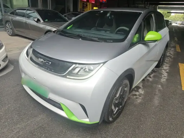 BYD Dolphin 2021 405km Freedom Edition
