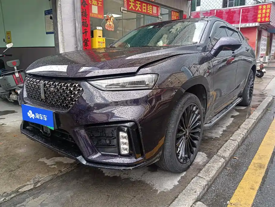 WEY VV7 New Energy 2020 PHEV 2.0T Flagship Model