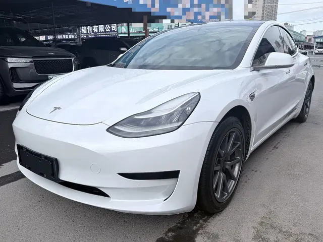 Tesla Model 3 2020 Standard Range Rear-Wheel Drive Upgrade