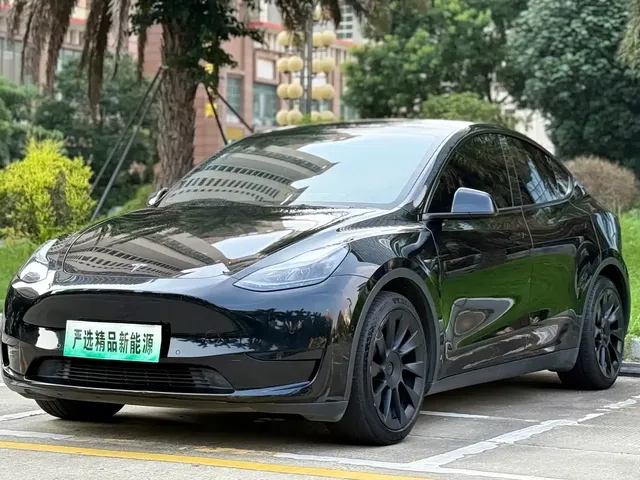 Tesla Model Y 2022 Rear-Wheel Drive Version