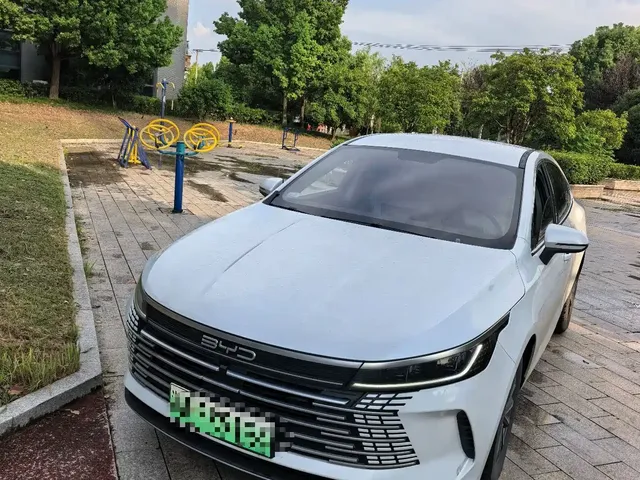 BYD Destroyer 05 2024 Glory Edition DM-i 55KM Luxury