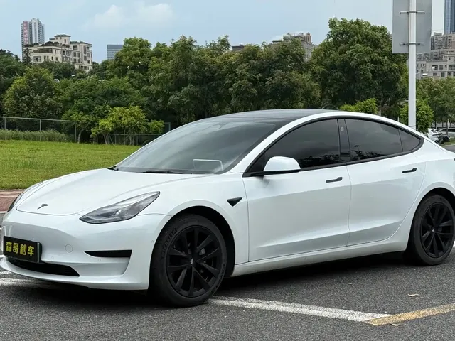 Tesla Model 3 2021 Standard Range Rear-Wheel Drive Upgrade