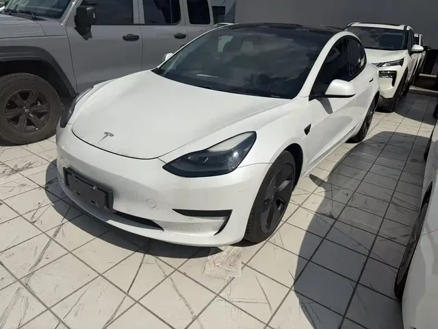 Tesla Model 3 2021 Standard Range Rear-Wheel Drive Upgrade 3D6