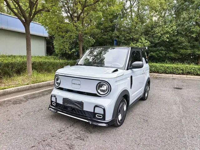 Geely Galaxy Panda 2025 Model Year 210km Panda Kart