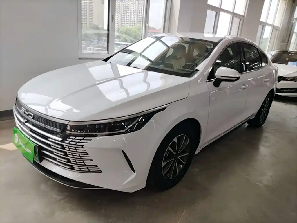 BYD Destroyer 05 2024 Glory Edition DM-i 55KM Luxury