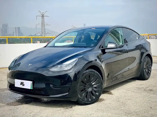 Tesla Model Y 2021 Standard Range Rear-Wheel Drive