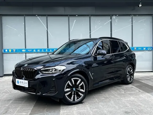 BMW iX3 2023 Leading Type