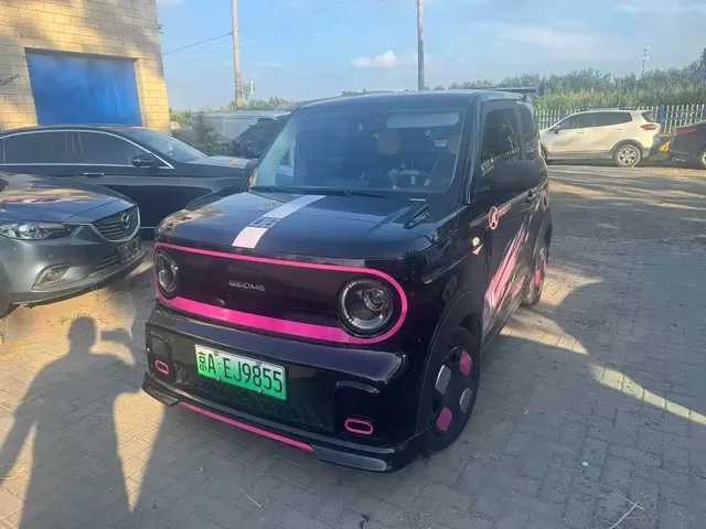 Geely Galaxy Panda 2025 Model Year 210km Panda Kart