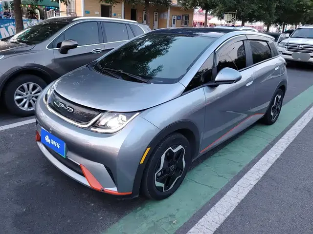 BYD Dolphin 2021 Model 405km Fashion Edition