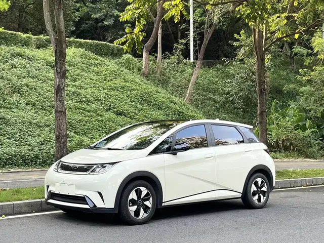 BYD Dolphin 2024 Glory Edition 420km Fashion Edition