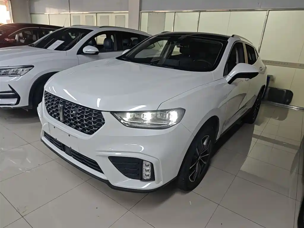 WEY VV5 2020 1.5T 2WD Smart Pioneer