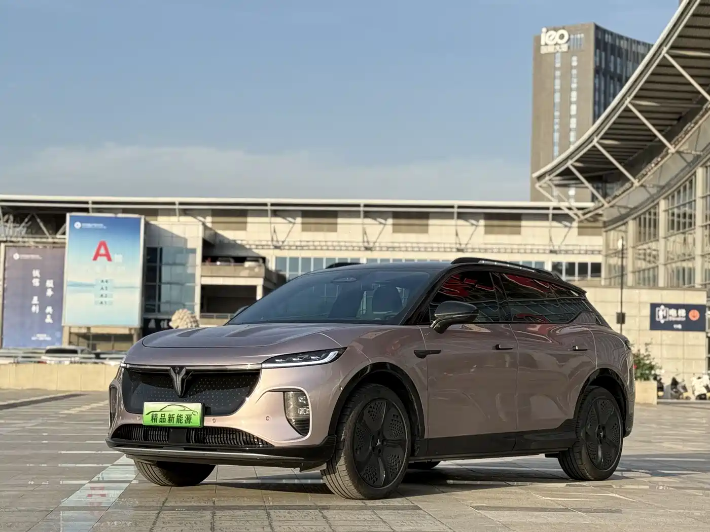 Voyah Auto Voyah Zhiyin 2024 4WD Global Edition