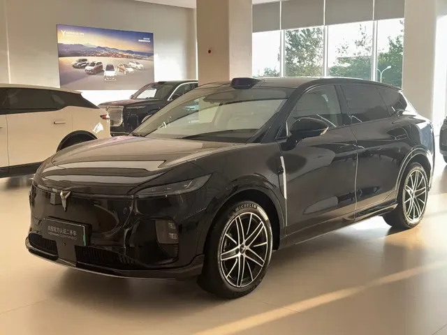 Voyah Auto Voyah Zhiyin 2025 Base