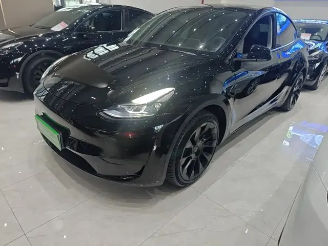 Tesla Model Y 2022 Rear-Wheel Drive Version