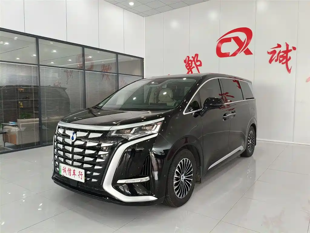 Denza D9 2024 DM-i 980 AWD Flagship