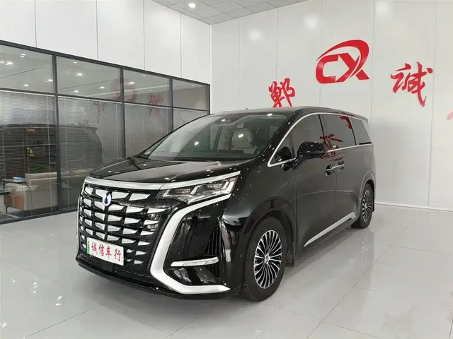 Denza D9 2024 DM-i 980 AWD Flagship