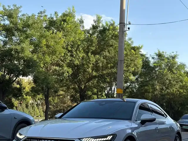 Audi A7L 2024 45TFSI quattro S-line Vision Edition Crystal Package